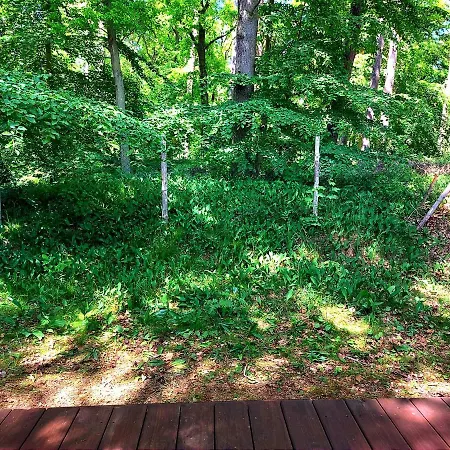 Dom wakacyjny I Woda *