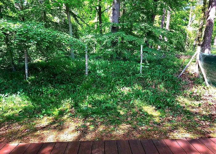 Dom wakacyjny I Woda *