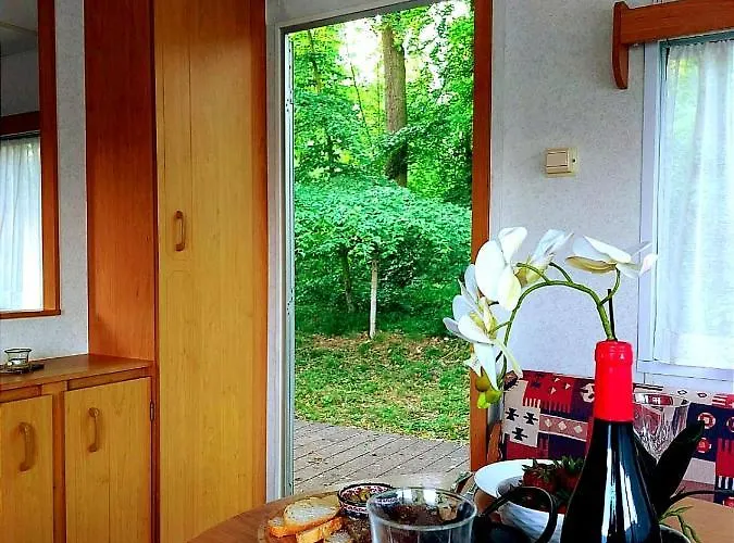 Dom wakacyjny I Woda *